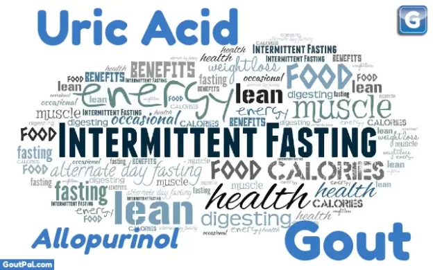 Intermittent Fasting and Gout