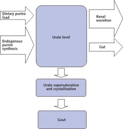 Development of Gout Overview